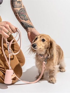 BORORO Dog Poop Bag Walking Dog Poop Picker Macaron Pet Poop Bag Dog Poop Dog Poop Garbage Bag