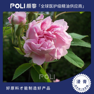 �������M��õ�������� ����ԭ�����l POLI/�H��η�����