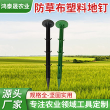 ���ݲ����ϵ�ᔳ��ݲ��̶���ᔹ��@�������ϵ��̵�ᔈ@ˇ������l