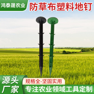 ���ݲ����ϵ�ᔳ��ݲ��̶���ᔹ��@�������ϵ��̵�ᔈ@ˇ������l