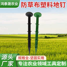 防草布塑料地钉除草布固定地钉果园大棚塑料倒刺地钉园艺地钉批发