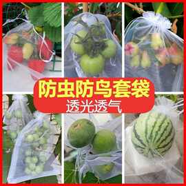 【水果套袋】尼龙网袋葡萄套袋子防鸟网防虫水果防虫网袋透气