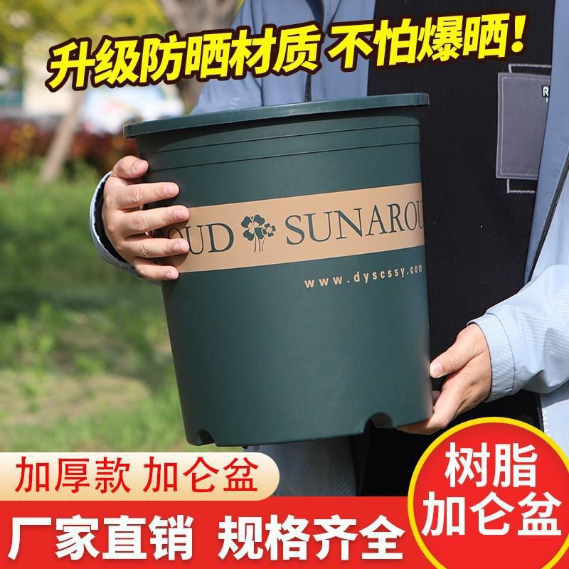 新款升级加厚加仑盆塑料花盆批发树脂花盆绿萝月季果树大花盆加厚