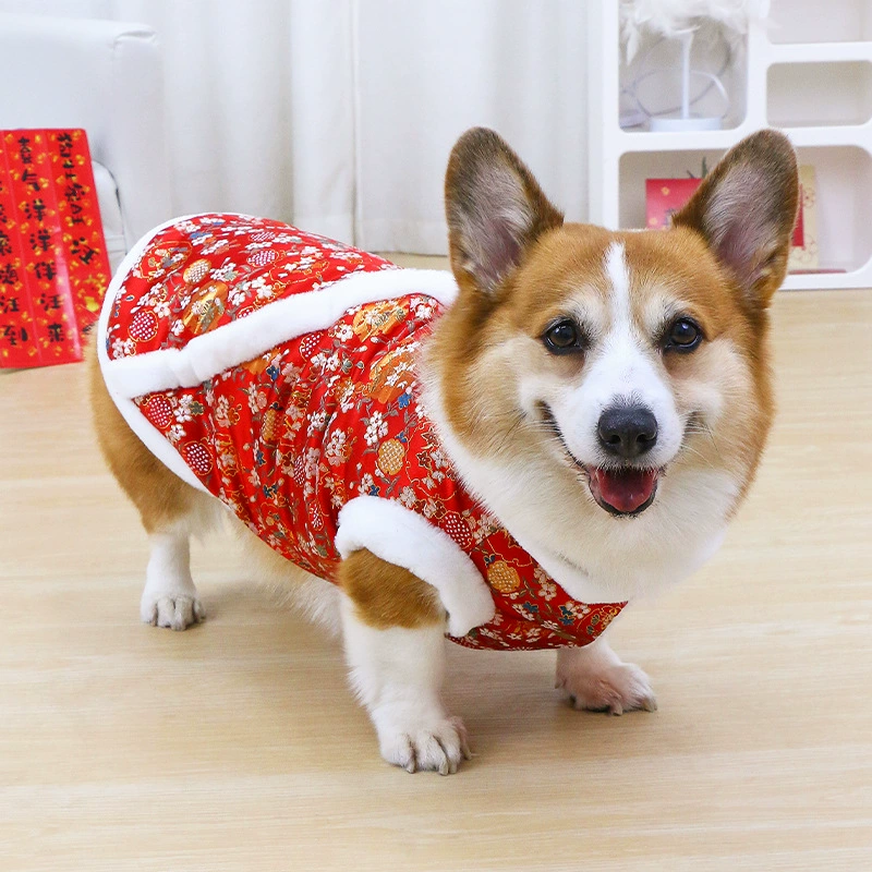 Домашняя собака одежда собаки осенняя и зимняя новогодняя новогодняя праздничная зима теплая коги Тедди щенок новый 2024