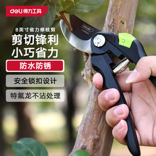 Deli Dl580201 Pruning Shears 8inch Pruning Scissors Fruit Tree Pruning Gardening Scissors Teflon Head