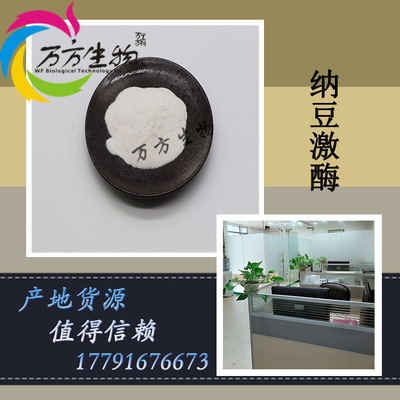 纳豆激酶 20000fu/G 纳豆提取物 纳豆冻干粉 万方现货 100g每袋