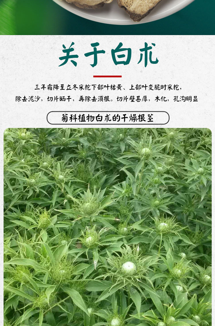 Bai Zhu Atractylodes Macrocephala Slices 500g Wheat Bran Stir Fried Dried White Atractylodes Rhizome for Decoction and Soup overview