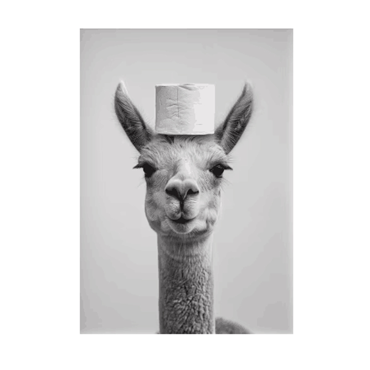 Negro y blanco adorables animales con papel higiénico póster búho perro lienzo pintura de pared arte baño sala de estar decoración del hogar