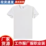 夏季多色学生短袖t恤