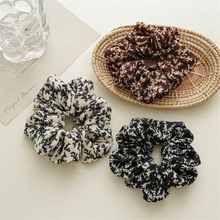 2025�¿�羳���s��ˇ���c�lȦ�^�Ů�Rβ�ٴ��Ƥ��F؛�lȦ