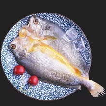 醇香黃魚鯗大黃魚黃花魚干咸魚干貨生鮮免殺免洗冷凍海鮮批發福建