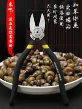 剪螺丝屁股田螺剪尾夹尾部剪石螺的剪刀钳子刀去尾工具螺蛳钳