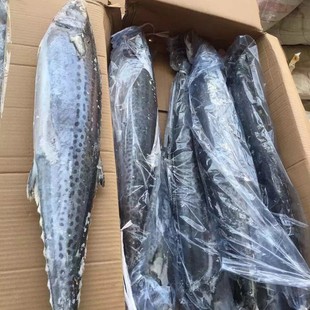 ���l ��������E�~Ұ�� ���l���E С�R�o�~ �������E  ������