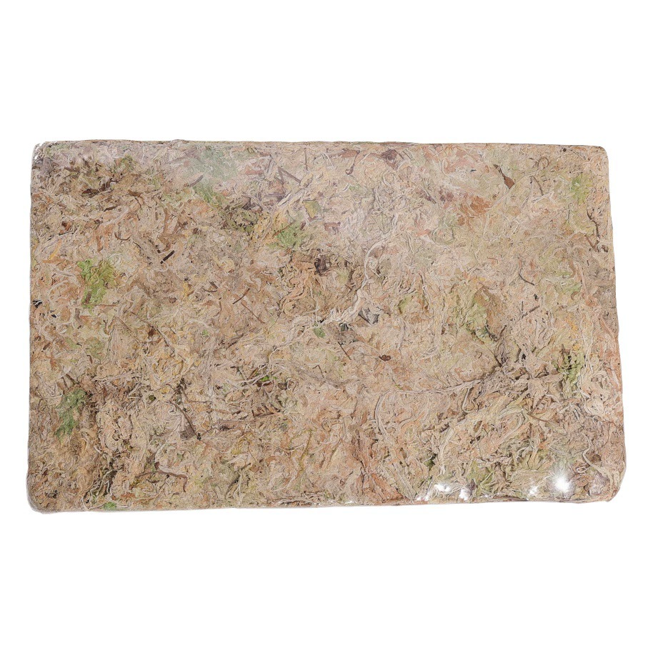 Сухой водный мох Сухой мох Водный водоросли Фаленопсис выращивание субстрата рептилий увлажняющий тепловой помет