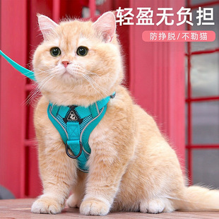 Wholesale Cat Leash Anti-Breakaway Outdoor Cat Leash Pet Harness Chain Adjustable Internet Celebrity Cat Walking