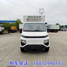 小型冷藏车 微型冷冻车 吉利小卡疫苗运输保温车 纯电动小型厢式