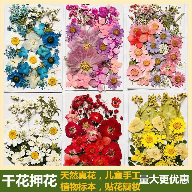 干花压花混合材料包贴脸妆押花压花包真花植物标本速卖通亚马逊