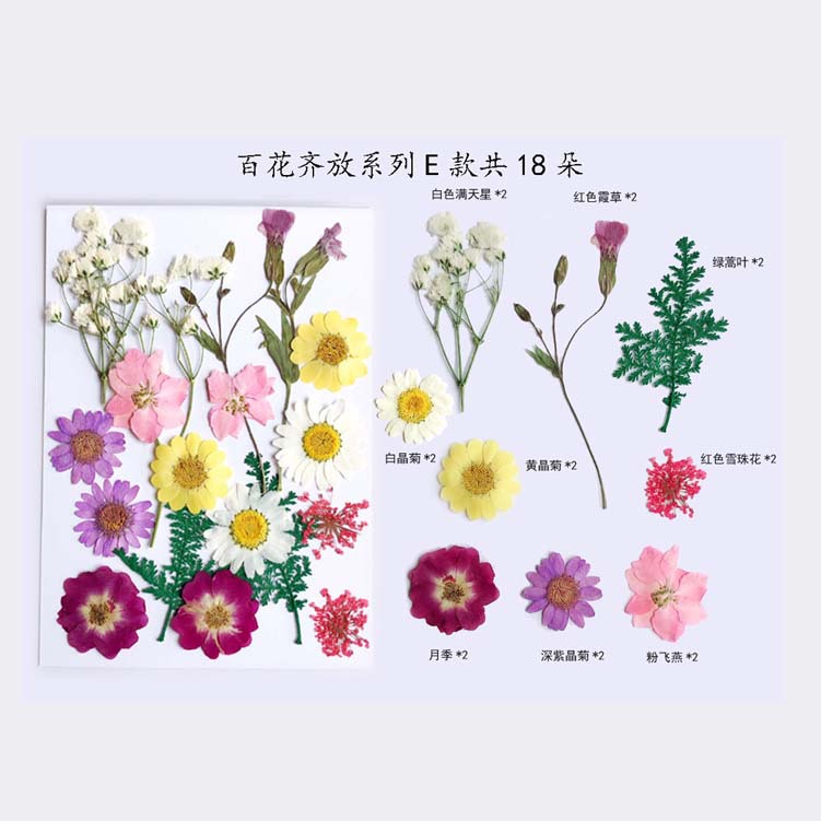 Paquete de material en relieve jardín de infantes en relieve DIY marcador epoxi flor seca caja del teléfono en relieve planta muestra