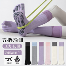 ��ɫ�٤��ָ��Ů�˶���������ѹ������רҵ�����������ֺ��Ů��