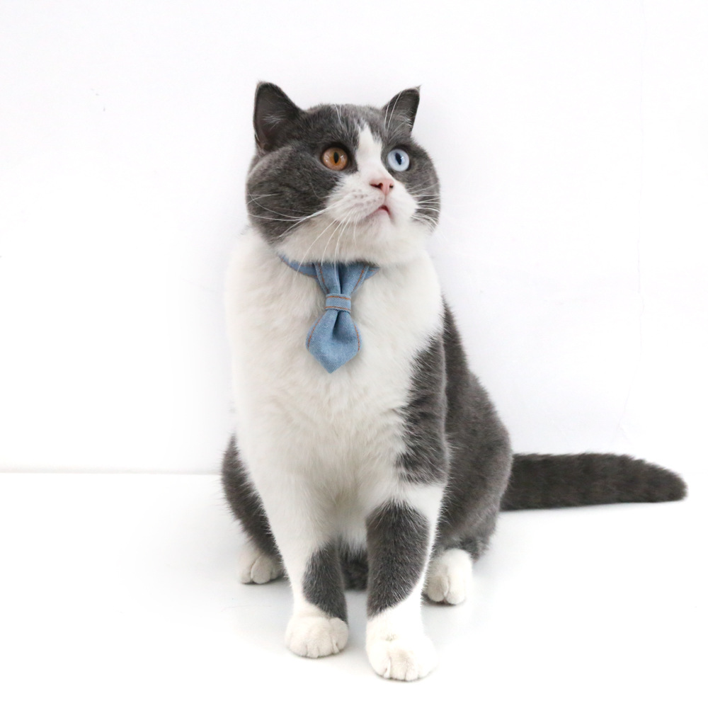 Pet Cowboy Bow Tie Collar Cat Dog Adjustable Tie Collar Pet Accessories Suppliespicture3