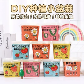 圣诞装饰品;节庆用品;其他圣诞用品