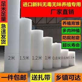 批发塑料养殖网阳台防护网养鸡漏粪网鸡笼垫底网封窗网阳台防漏网