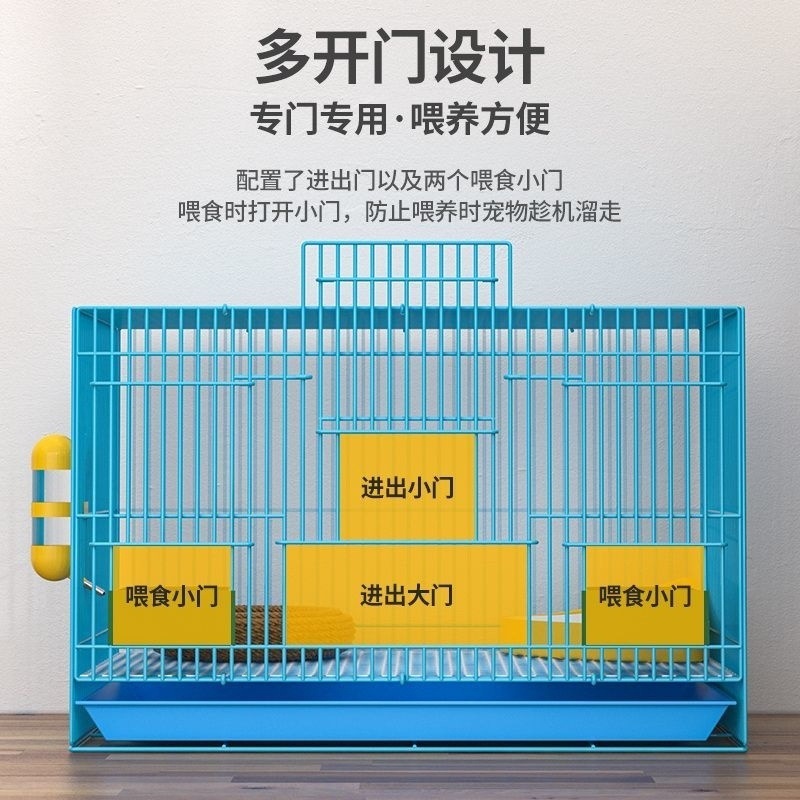 a493e929-b381-41c7-ac11-1fce3728983e.jpe