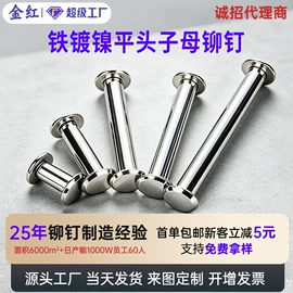 铆钉;螺钉;螺柱