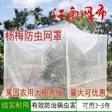 ÷WˮWַxɏF{ݮWҘBWWִWÎ