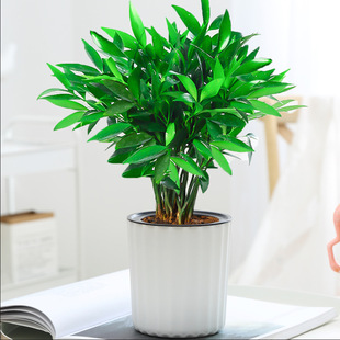 ���lˮ���������ظ��F��ˮ�Bֲ�҃ȿ͏d����Gֲ���Ի���