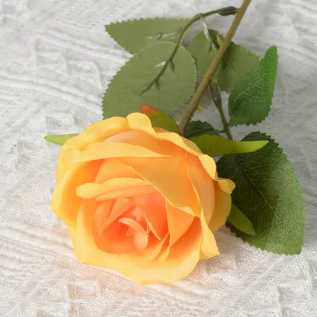 Orange (silk cloth version)