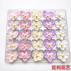 情人节新款香皂花蝴蝶兰装饰配件花永生花花束包装材料肥皂花