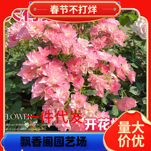 һ�����l��ɷ����¼��������ͺ�����ֲ���҃ȿ͏d��֭�̨õ����