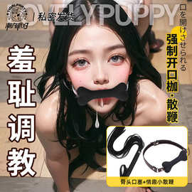 sm口球硅胶口塞调教口球深喉狗骨头男女用性玩具情趣用品房事工具