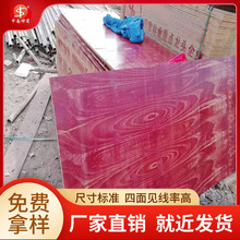 镜面建筑模板 松木面桉木心 防水性强 房屋建筑用