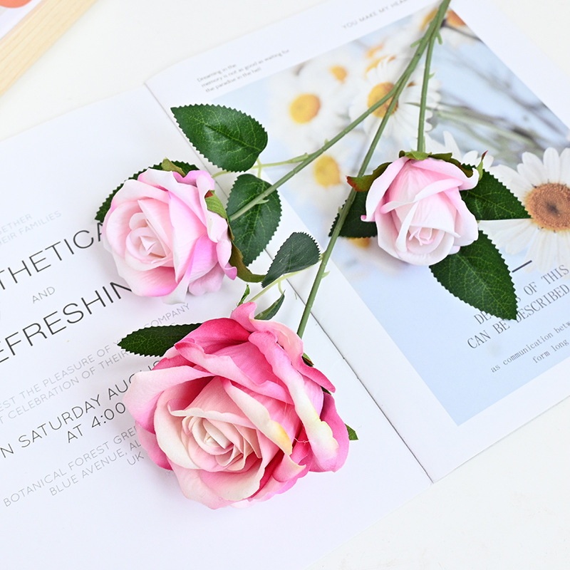 라이트 로즈 레드