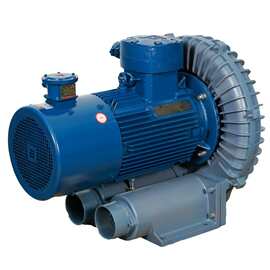 防爆高压鼓风机 易燃易爆气体输送旋涡气泵 低噪音变频隔爆风机