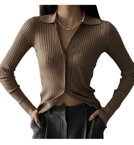 Trendy, Affordable Luxury, Niche-Style Gold-Plated Metal Chunky Chain Necklace for Women – Chic Clavicle Sweater Chain Accessory
