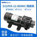 5210HD抽油泵功率80W大流量13L/MIN吸程1.5m抽汽油柴油煤油等流体