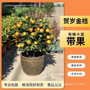 ��ۘ�����������С��ێ����҃ȿ͏d�k����������۰lؔ���f���