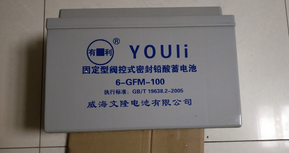 文隆有利蓄电池 6-GFM-100 12V100AH UPS EPS电源直流屏 铅酸电瓶