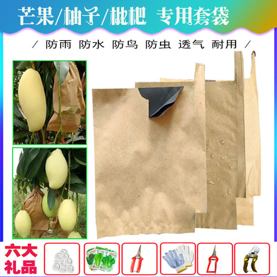 Манго -специфичные сумки Dajinhuang Qingrang Eagle Mout