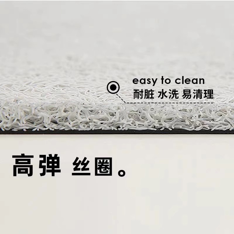 丝圈地垫家用耐脏耐磨防滑地垫进门刮泥蹭土入户门地垫一件代发|undefined