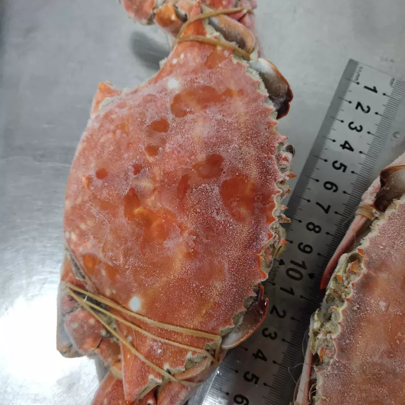 加工定制舟山海鲜海哆哆熟冻梭子蟹冷冻食品餐饮商超供货厂家批发