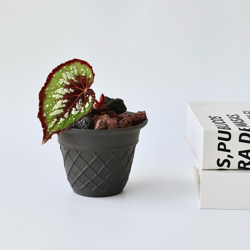 Cute Ceramic White Breathable Terracotta Succulent Pot Cream Pottery Pot Ball Orchid Black