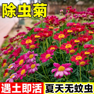 ���x�ջ��N��С�r���҃Ȼ��N�������ֲ��������ļ����N�_���N��