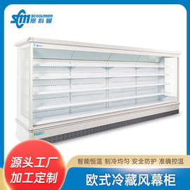冷藏风幕柜 超市水果保鲜柜  饮料展示柜定制 馒头饺子汤圆冷冻柜