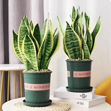 ��߅��Ƥ�m�y�}��β�m���Ի��ܾGֲ�҃ȶ���ֲ���k�����ļ�����