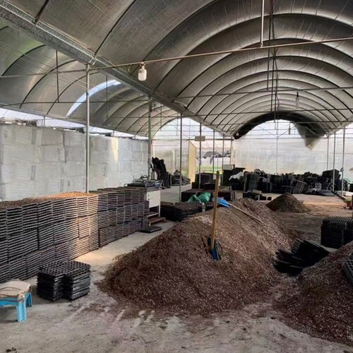 Seed General Pepper Passion Fruit Cutting Large Wholesale Base Nutrient Soil Planting Soil Cultivation Breeding Seedling Substrate