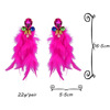 European and American style, fashion exaggerated earrings, feather symmetrical temperament long pendant cross -border e -commerce goods decoration new model 989